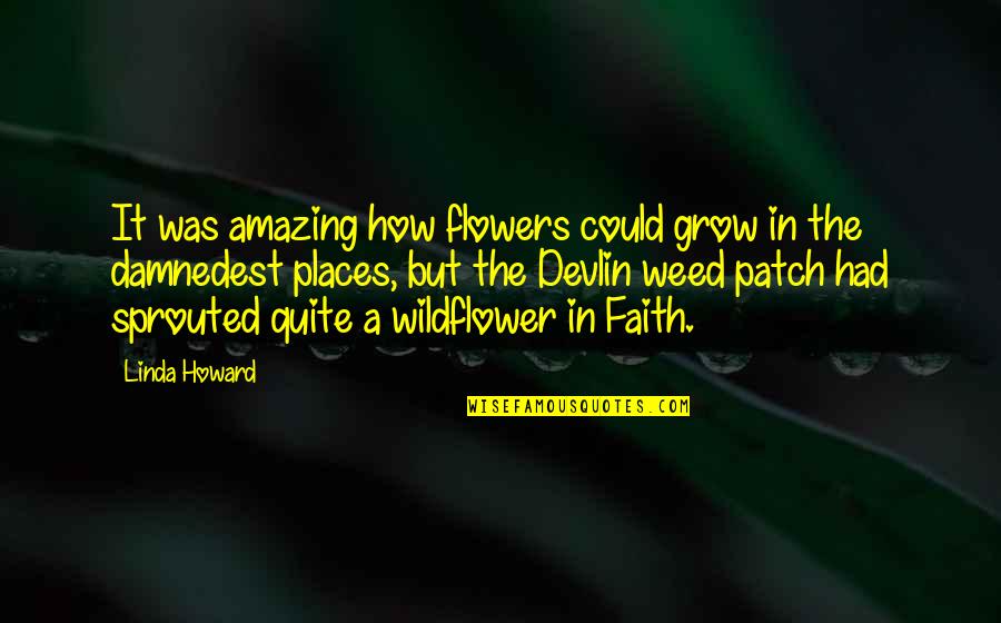 Be A Wildflower Quotes By Linda Howard: It was amazing how flowers could grow in