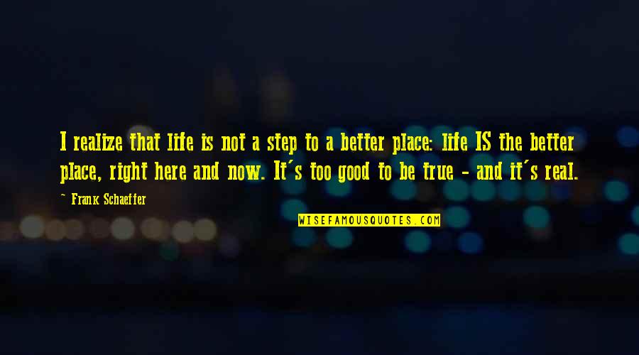 Be Better In Real Life Quotes By Frank Schaeffer: I realize that life is not a step