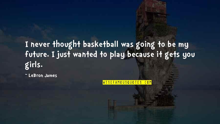 Be Going To Future Quotes By LeBron James: I never thought basketball was going to be