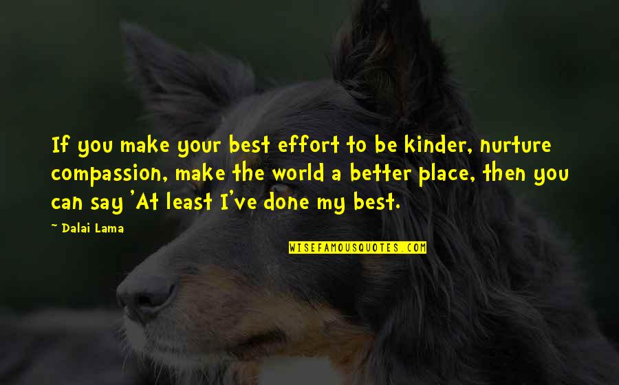 Be Kinder Quotes By Dalai Lama: If you make your best effort to be