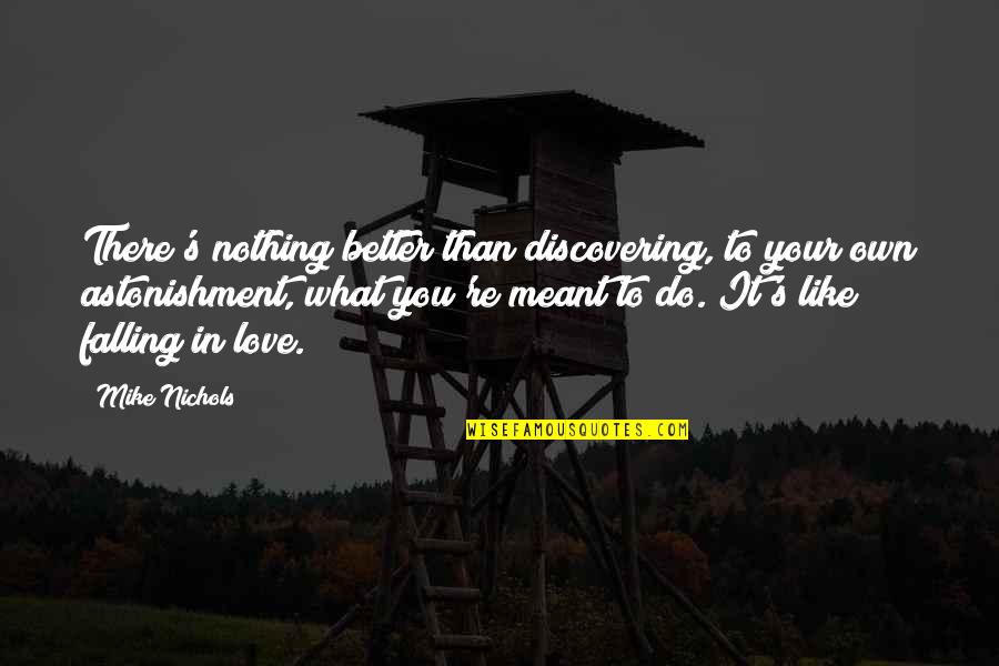 Be Like Mike Quotes By Mike Nichols: There's nothing better than discovering, to your own