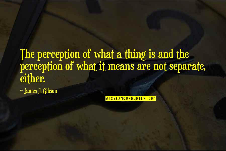 Beachhead Market Quotes By James J. Gibson: The perception of what a thing is and