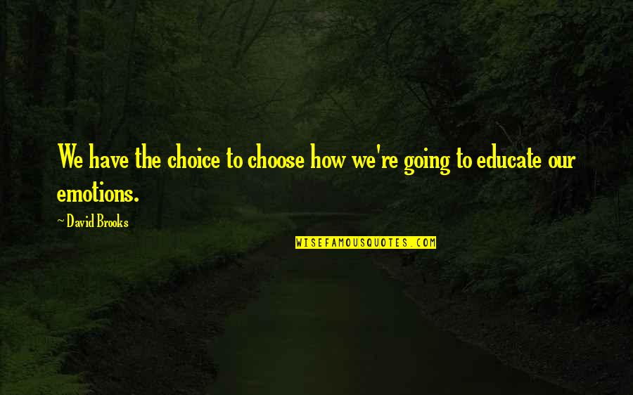 Beautiful Angels Quotes By David Brooks: We have the choice to choose how we're