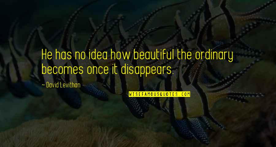 Beautiful Idea Quotes By David Levithan: He has no idea how beautiful the ordinary