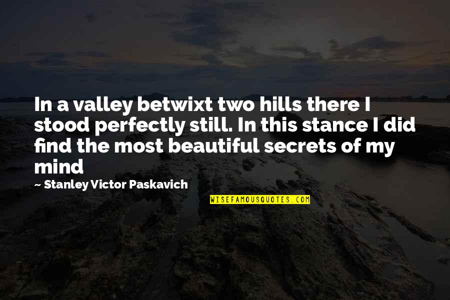 Beautiful Valley Quotes By Stanley Victor Paskavich: In a valley betwixt two hills there I