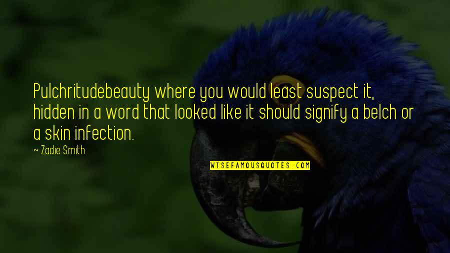 Beauty Hidden Quotes By Zadie Smith: Pulchritudebeauty where you would least suspect it, hidden