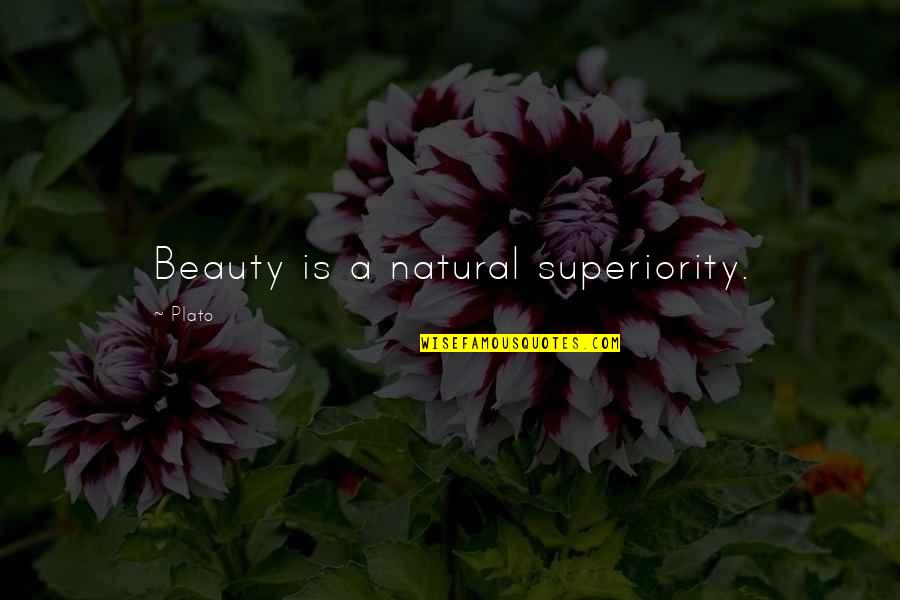 Beauty Natural Quotes By Plato: Beauty is a natural superiority.