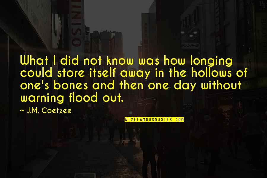 Bedwell Gardens Quotes By J.M. Coetzee: What I did not know was how longing