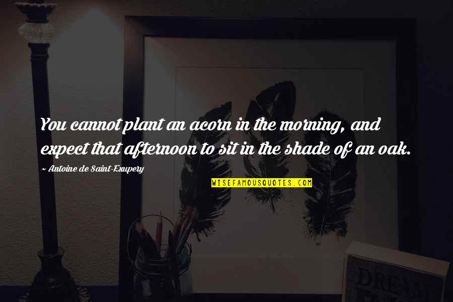 Behalten In English Quotes By Antoine De Saint-Exupery: You cannot plant an acorn in the morning,