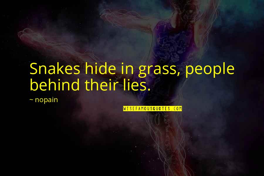 Being A Builder Quotes By Nopain: Snakes hide in grass, people behind their lies.