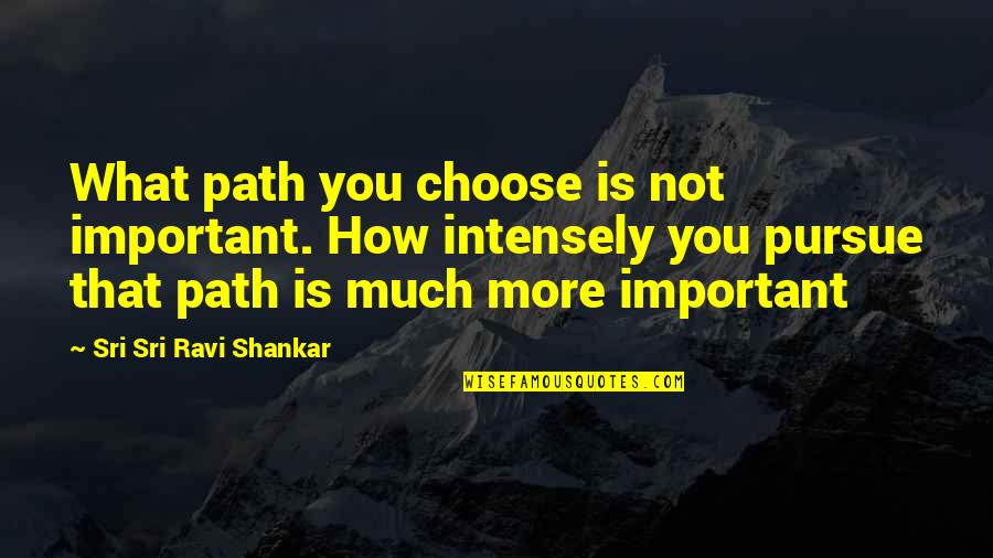 Being A Good Citizen Quotes By Sri Sri Ravi Shankar: What path you choose is not important. How