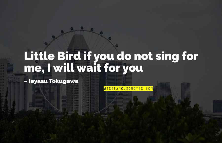 Being Afraid To Lose Someone Quotes By Ieyasu Tokugawa: Little Bird if you do not sing for