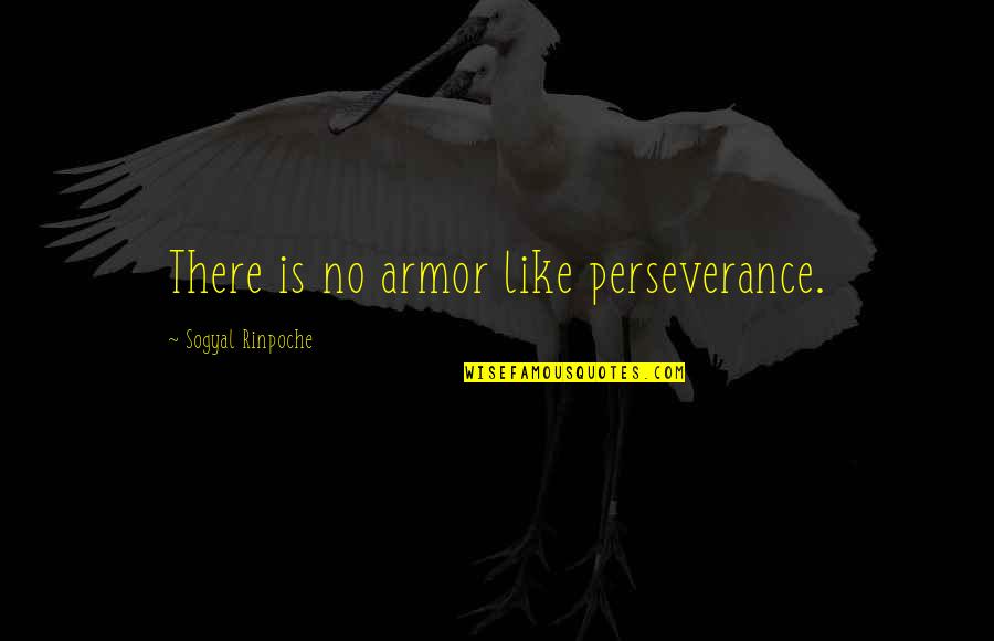 Being Cramped Quotes By Sogyal Rinpoche: There is no armor like perseverance.