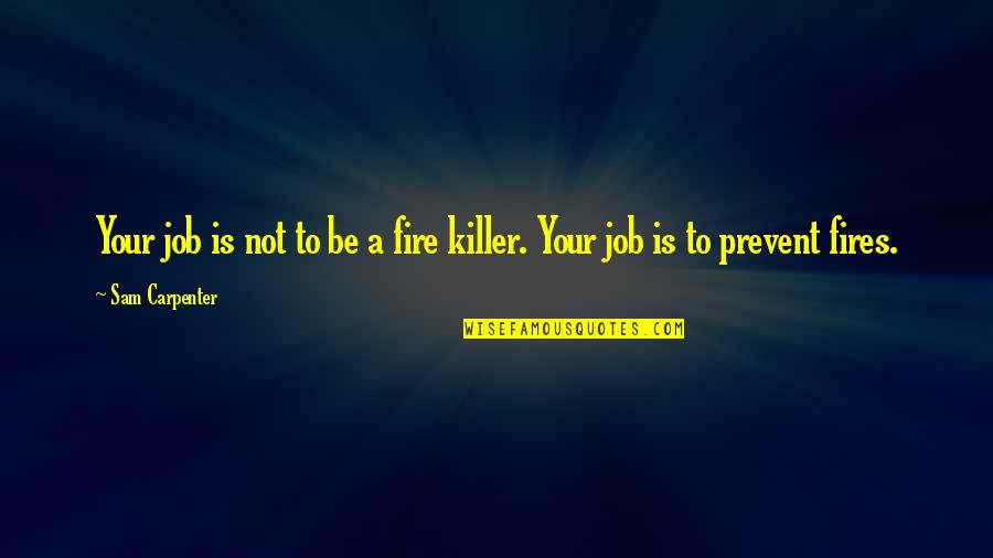 Being Depressed And No One Knows Quotes By Sam Carpenter: Your job is not to be a fire