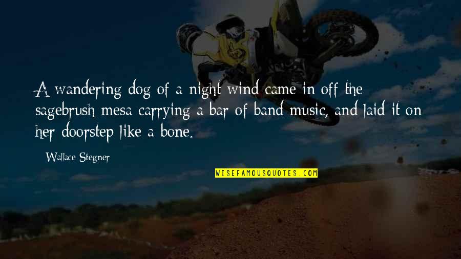 Being Graceful When Losing Quotes By Wallace Stegner: A wandering dog of a night wind came