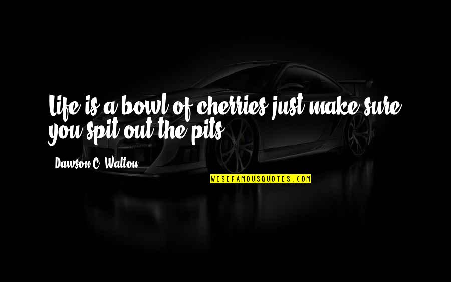 Being Hurt And Trying To Move On Quotes By Dawson C. Walton: Life is a bowl of cherries just make