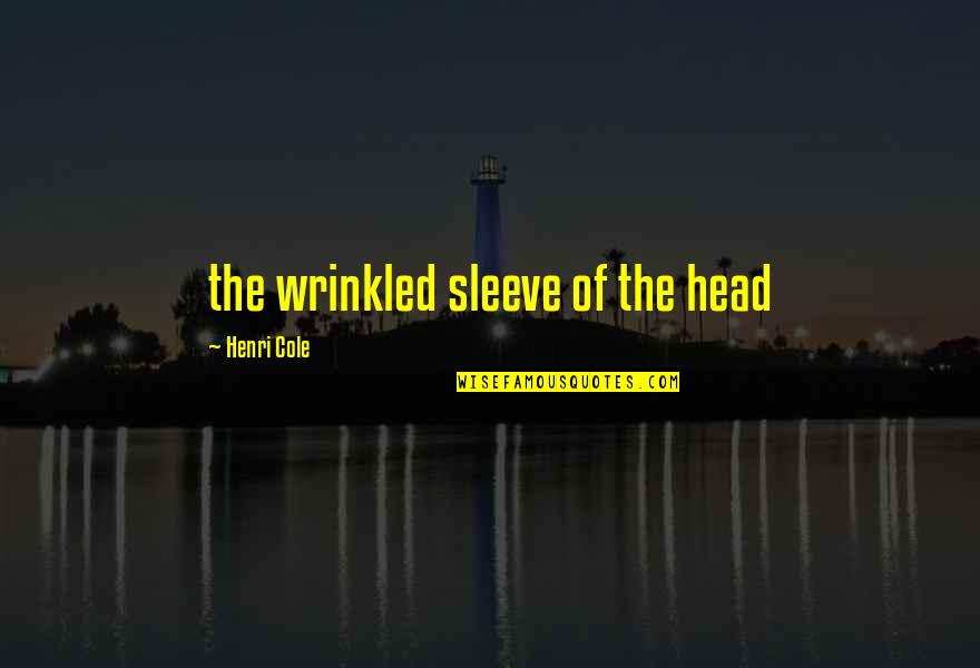 Being In Control Of Your Happiness Quotes By Henri Cole: the wrinkled sleeve of the head