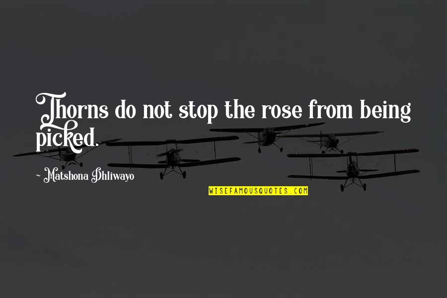 Being Inner Beauty Quotes By Matshona Dhliwayo: Thorns do not stop the rose from being