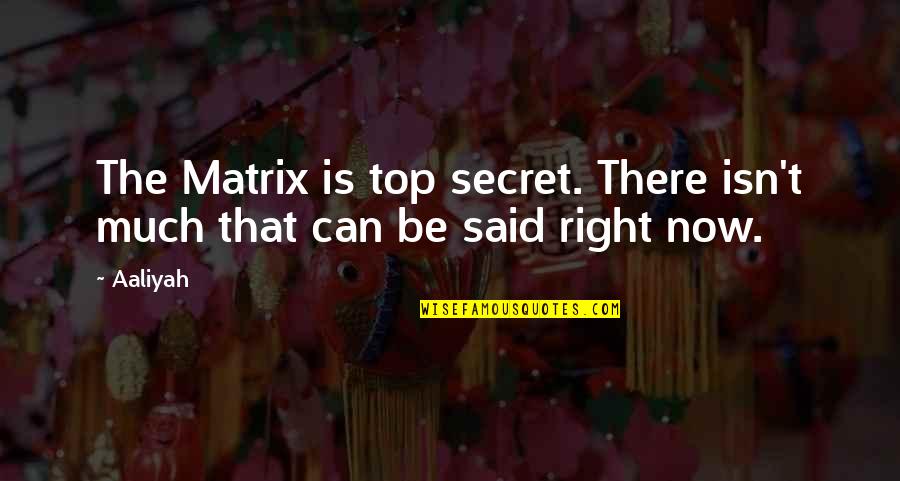 Being Madly In Love Quotes By Aaliyah: The Matrix is top secret. There isn't much