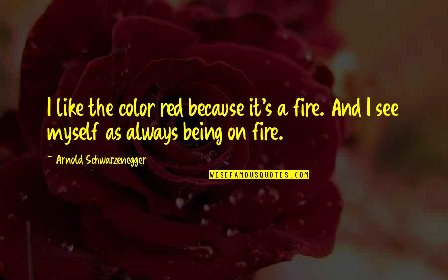 Being On Fire Quotes By Arnold Schwarzenegger: I like the color red because it's a