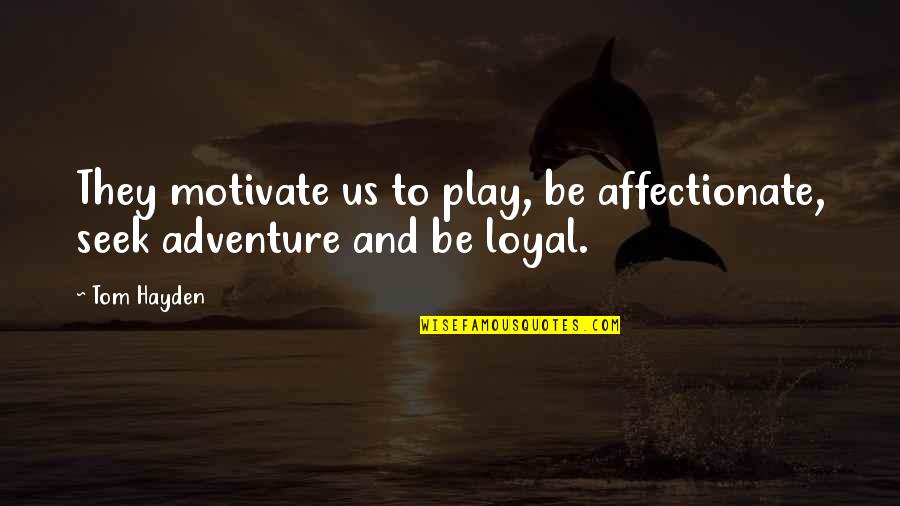 Being Tender Quotes By Tom Hayden: They motivate us to play, be affectionate, seek