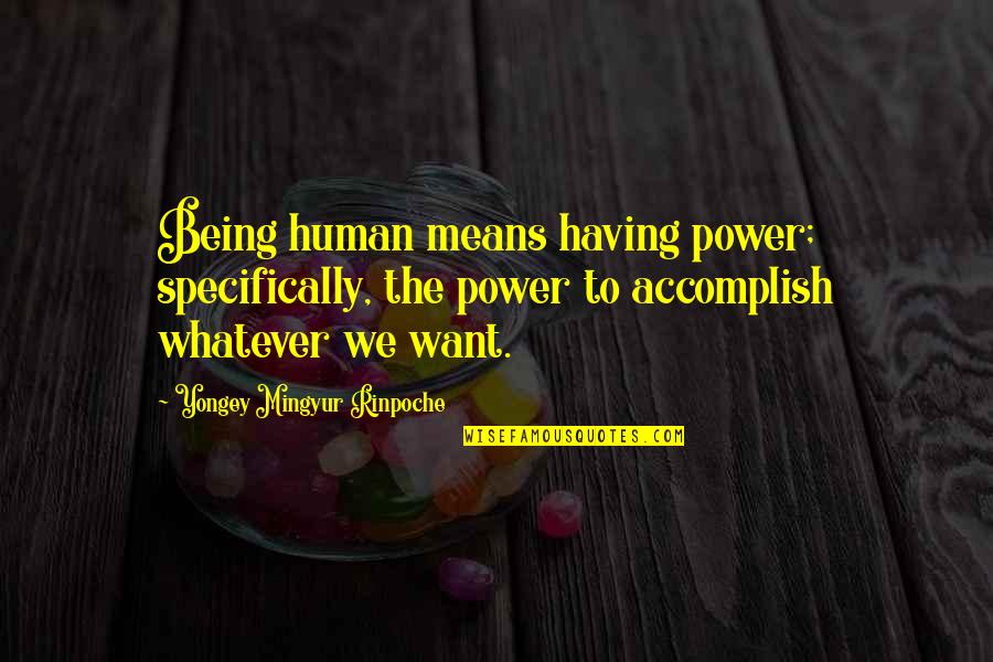 Being Whatever You Want To Be Quotes By Yongey Mingyur Rinpoche: Being human means having power; specifically, the power