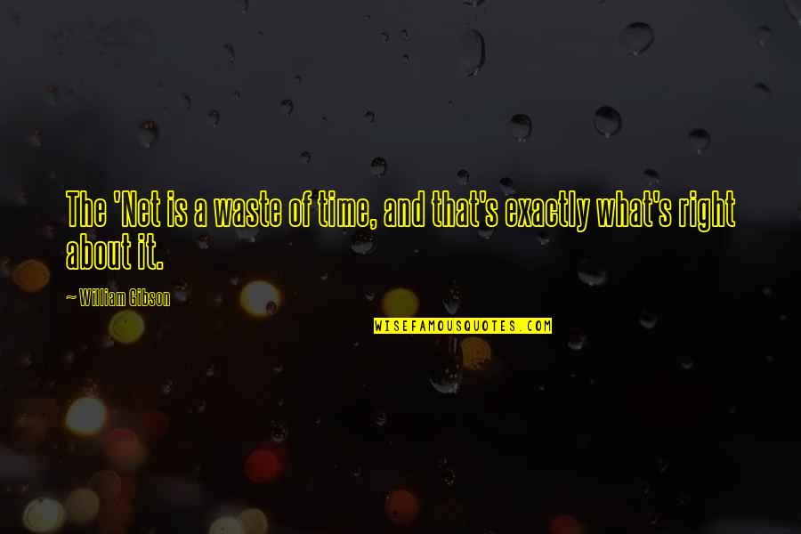 Beintaha Quotes By William Gibson: The 'Net is a waste of time, and