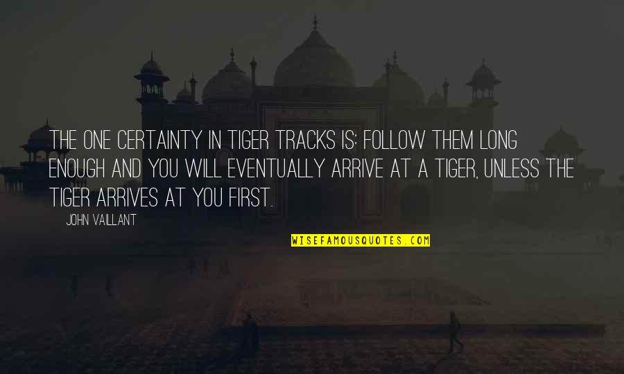 Belaustegui Amber Quotes By John Vaillant: The one certainty in tiger tracks is: follow