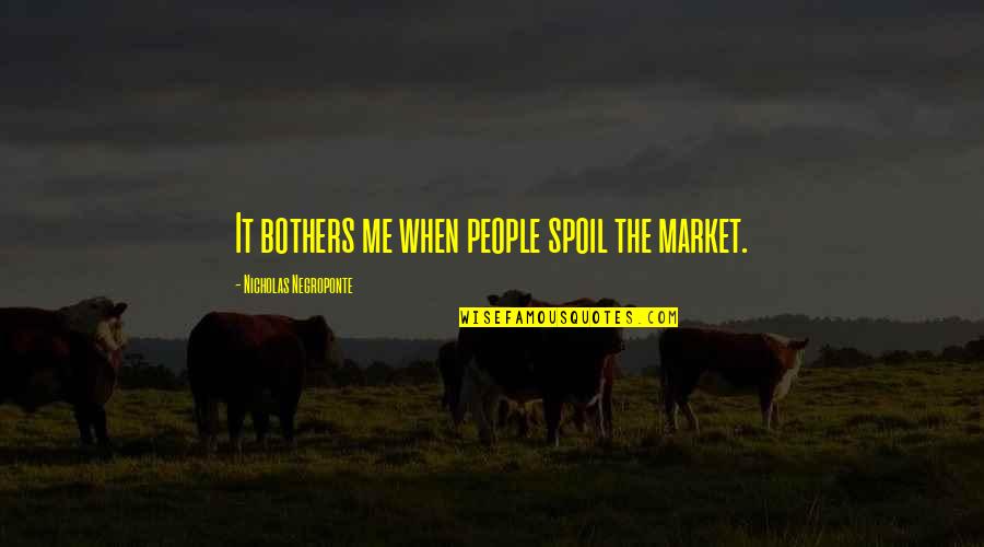 Believing Someone Blindly Quotes By Nicholas Negroponte: It bothers me when people spoil the market.