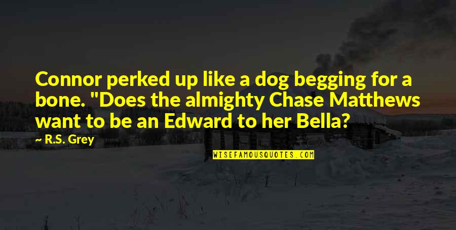 Bella's Quotes By R.S. Grey: Connor perked up like a dog begging for