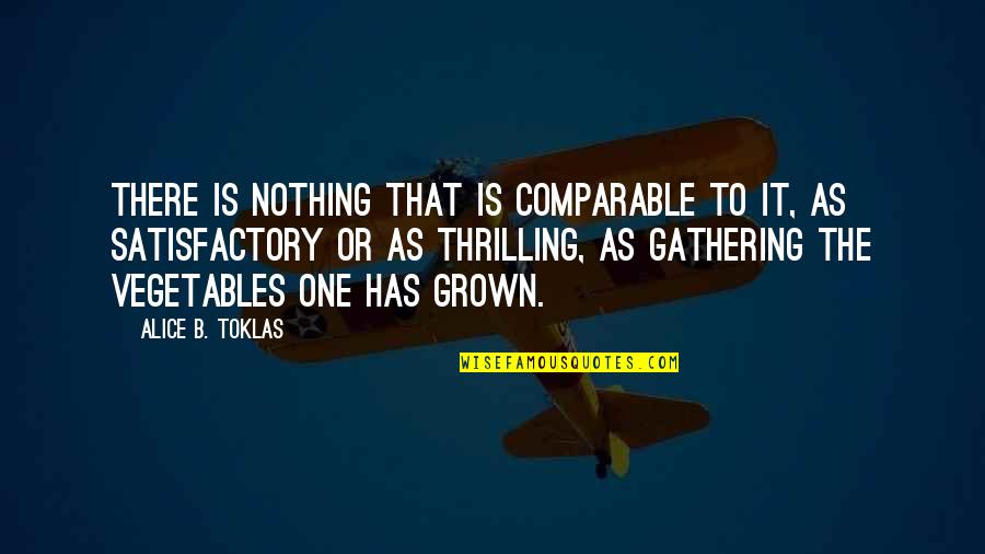 Bensink Quotes By Alice B. Toklas: There is nothing that is comparable to it,