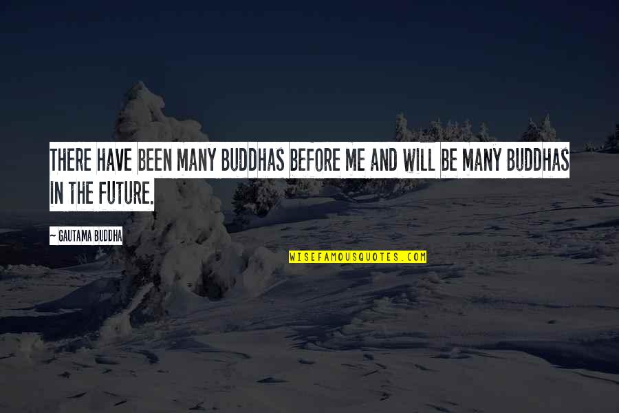 Bergaul Quotes By Gautama Buddha: There have been many Buddhas before me and