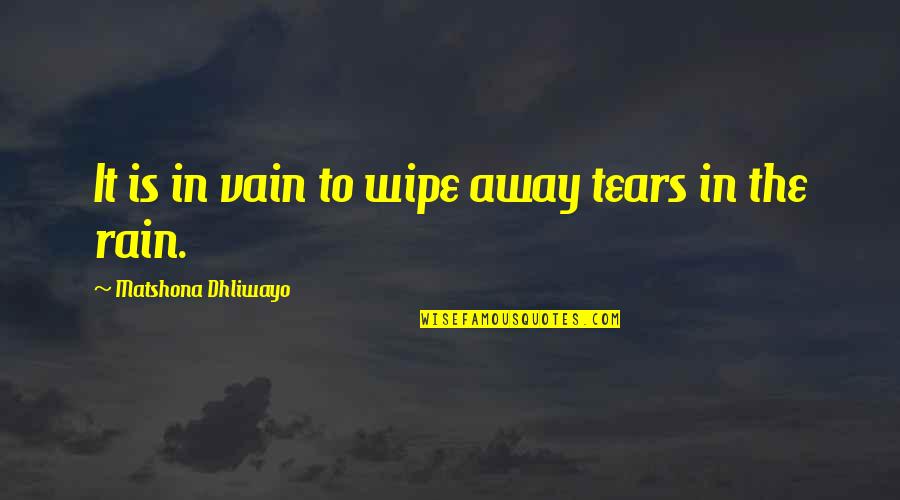 Bergreen Author Quotes By Matshona Dhliwayo: It is in vain to wipe away tears