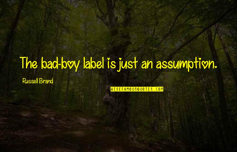 Bernath Coakley Quotes By Russell Brand: The bad-boy label is just an assumption.