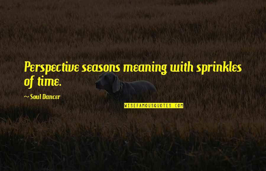 Berthold Beitz Quotes By Soul Dancer: Perspective seasons meaning with sprinkles of time.