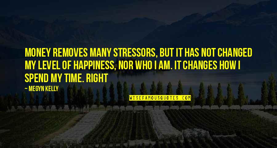 Beskar Steel Quotes By Megyn Kelly: Money removes many stressors, but it has not