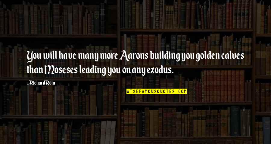 Best Children's Hospital Quotes By Richard Rohr: You will have many more Aarons building you