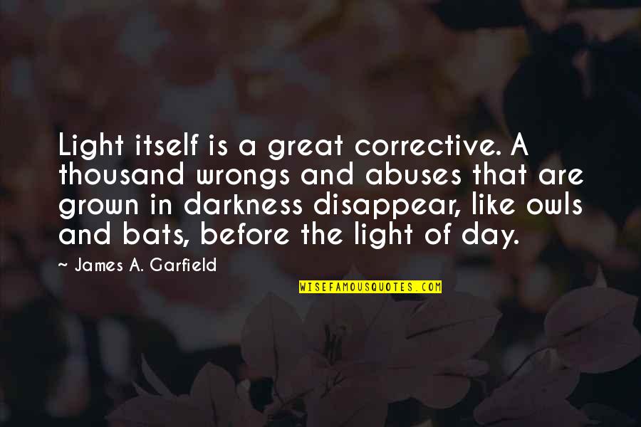 Best Corrective Quotes By James A. Garfield: Light itself is a great corrective. A thousand