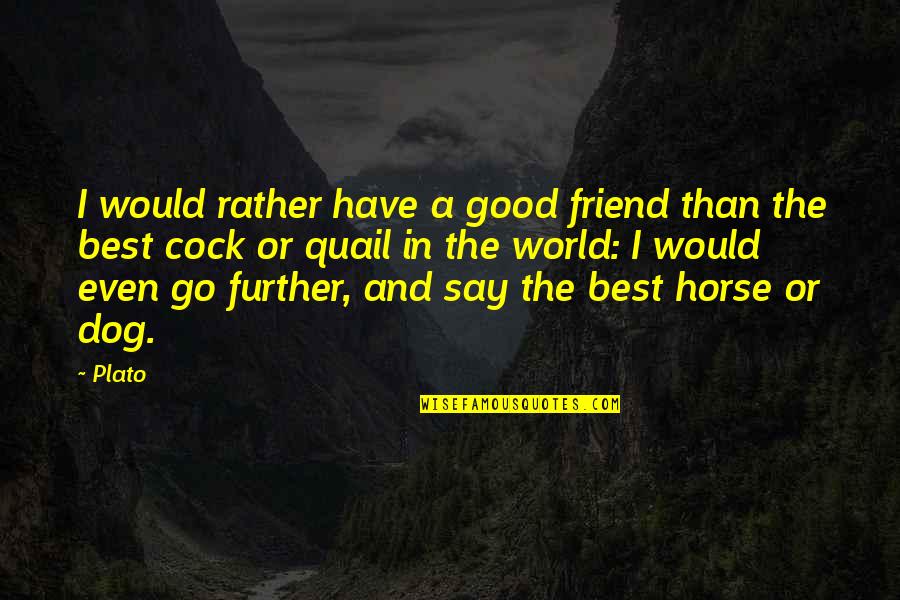 Best Dog Quotes By Plato: I would rather have a good friend than