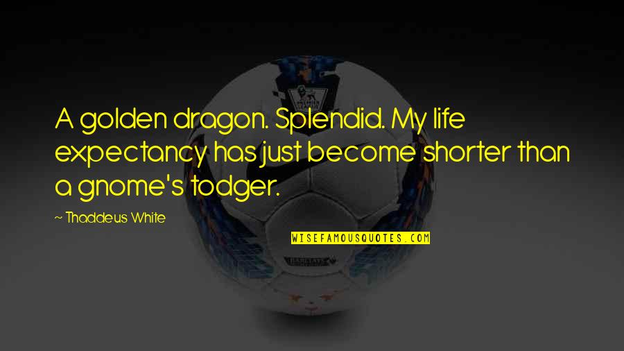 Best Friends Dan Terjemahannya Quotes By Thaddeus White: A golden dragon. Splendid. My life expectancy has