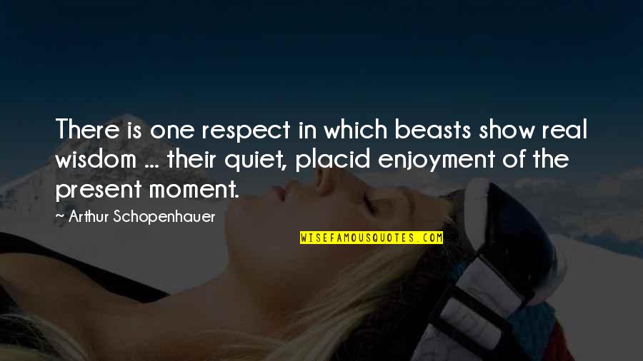 Best Horse Quotes By Arthur Schopenhauer: There is one respect in which beasts show