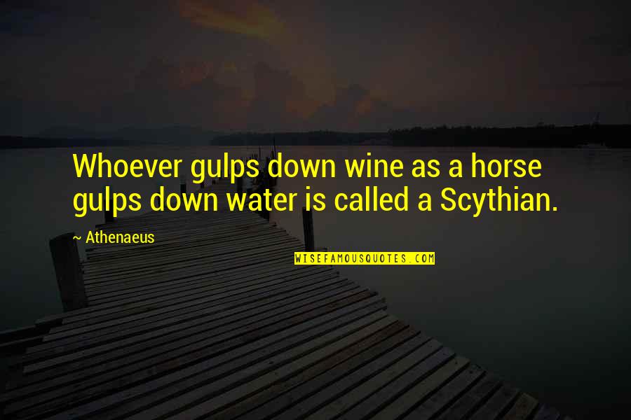 Best Horse Quotes By Athenaeus: Whoever gulps down wine as a horse gulps