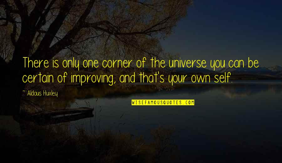 Best Improving Quotes By Aldous Huxley: There is only one corner of the universe