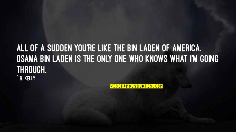 Best Lano And Woodley Quotes By R. Kelly: All of a sudden you're like the Bin