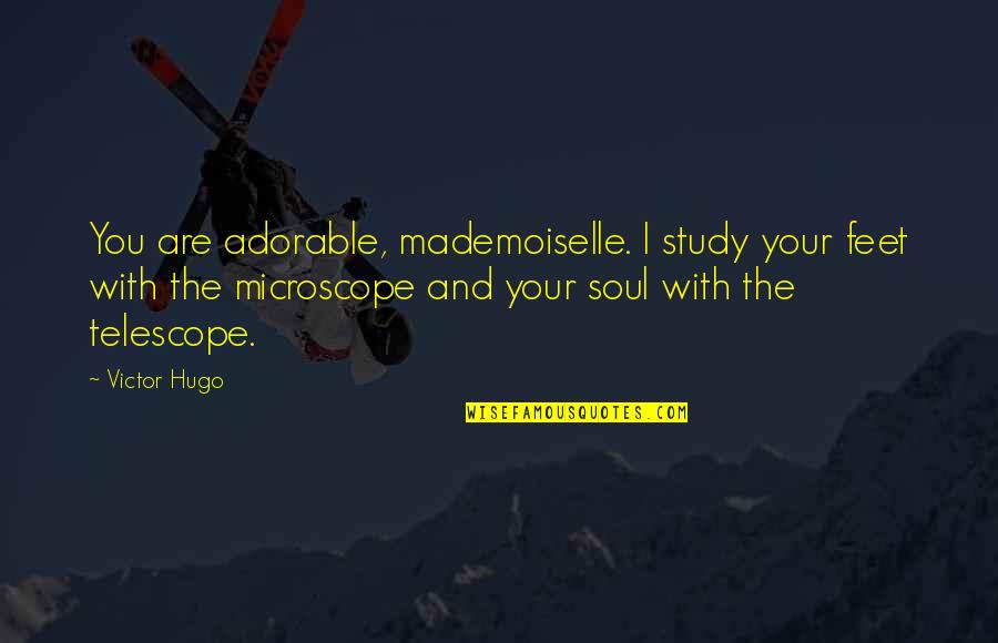 Best Love Flirting Quotes By Victor Hugo: You are adorable, mademoiselle. I study your feet