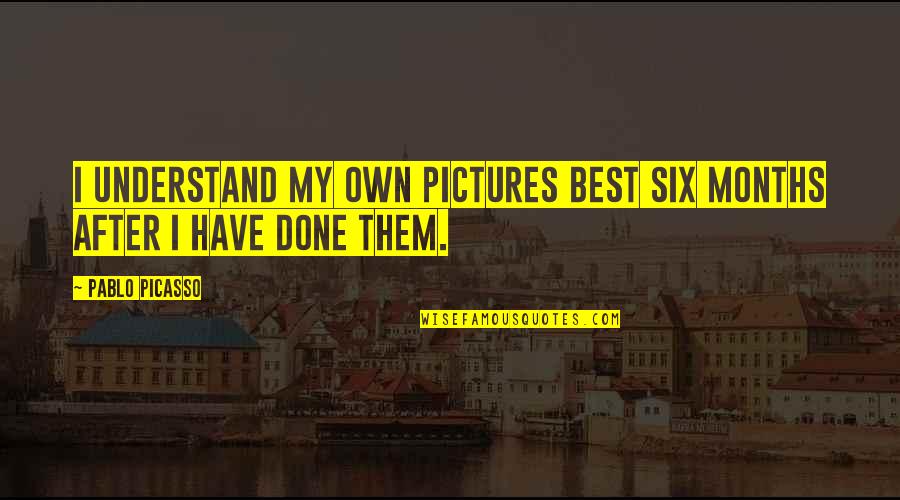 Best Pictures Quotes By Pablo Picasso: I understand my own pictures best six months