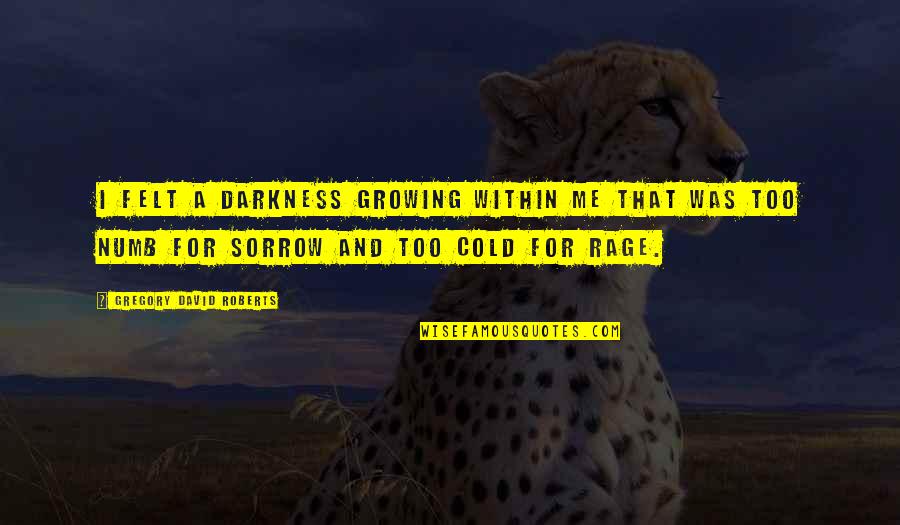 Best Rage Quotes By Gregory David Roberts: I felt a darkness growing within me that