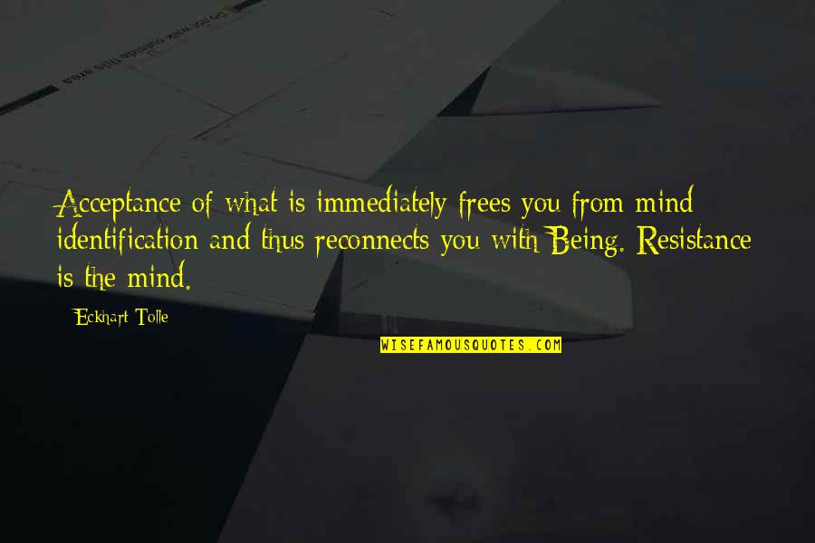 Best Resistance Quotes By Eckhart Tolle: Acceptance of what is immediately frees you from