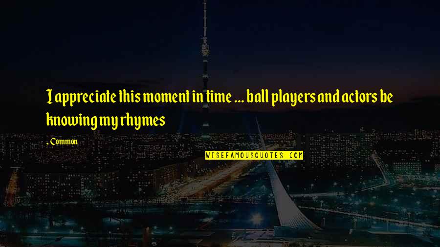 Best Rhymes Quotes By Common: I appreciate this moment in time ... ball