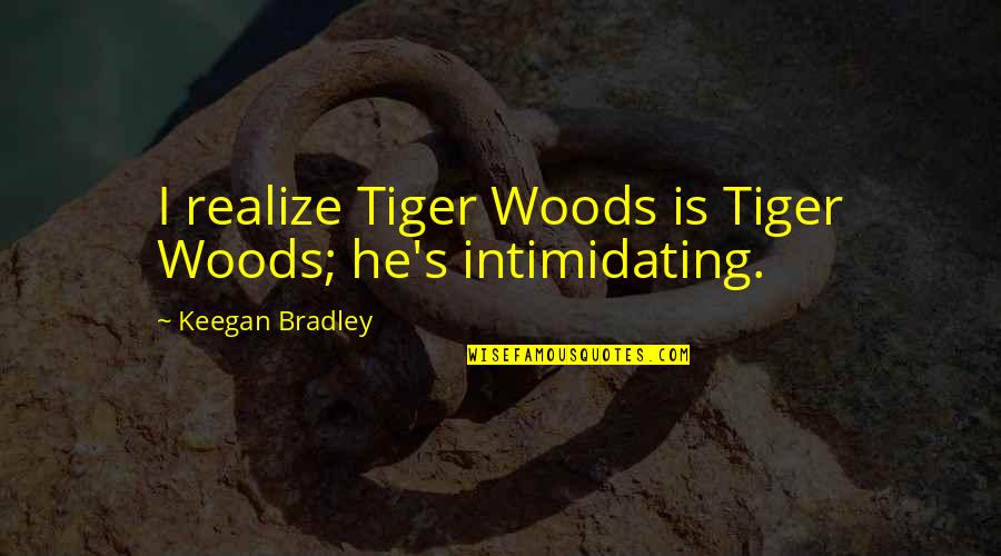 Best Tiger Quotes By Keegan Bradley: I realize Tiger Woods is Tiger Woods; he's